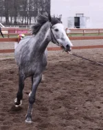 DPP_0100.webp
