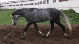 DPP_0106.webp