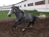 DPP_0135.webp