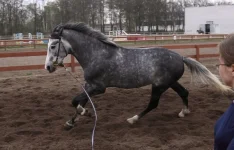 DPP_0145.webp
