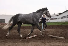 DPP_0224.webp