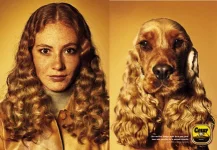 people_dog_12.webp