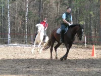 PICT0005.webp
