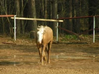 PICT0010.webp