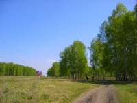S6002587.webp