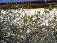 07052010447.webp