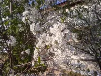 07052010449.webp