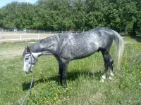 22052010477.webp