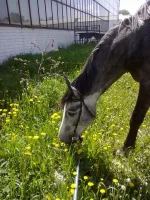 22052010489.webp