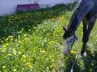 22052010492.webp