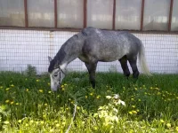 22052010495.webp