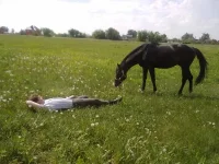 23052010509.webp