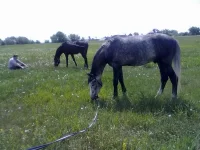 23052010500.webp