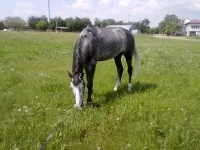 23052010508.webp