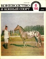 КК 6-1986..webp