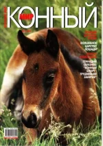 4-2001 км..webp