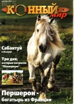 5-2001 км..webp