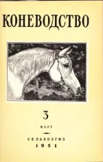 К 3 - 1951..webp