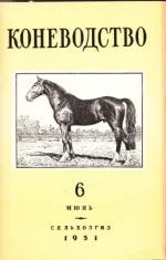 К 6 - 1951..webp