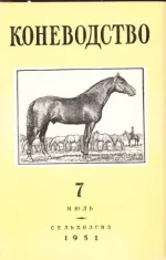 К 7-1951..webp