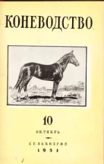 К 10-1951..webp