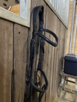 IMG_6196.jpeg