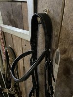 IMG_6194.jpeg