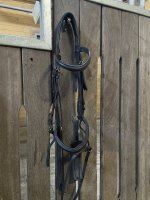 IMG_6193.jpeg