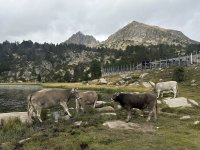 IMG_0372.jpeg