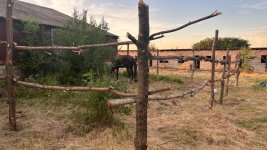 IMG_5204.jpeg