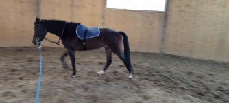 IMG_20241206_134347.jpg