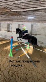 1708280889550.jpg
