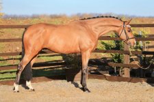 photo_2025-01-17 16.09.53.jpeg