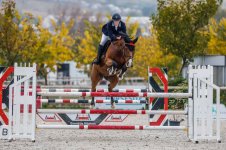 photo_2025-01-17 16.10.11.jpeg