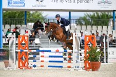 photo_2025-01-17 16.10.36.jpeg