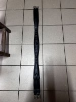IMG_1327.jpeg