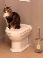 IMG_3378.jpeg