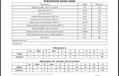 02049D1D-D229-451A-8BBB-5D7FEBD8A43A.jpeg