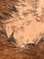 IMG_1410.jpeg