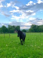 IMG_4354.jpeg