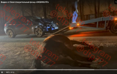 1739273913272.png
