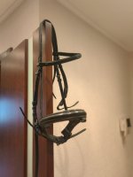 IMG_20250123_133234.jpg