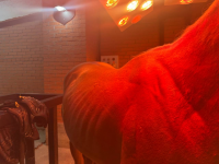 1740772115487.png