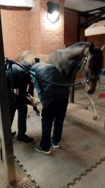 Изображение WhatsApp 2025-02-27 в 17.38.13_71c2f665.jpg
