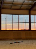 IMG_8557.jpeg