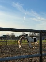 IMG_1760.jpeg