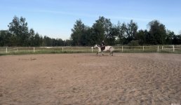 IMG_6661.jpeg