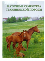 2025-03-06_11-20-57.png