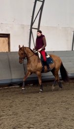 IMG_8866.jpeg
