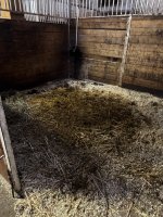 IMG_2673.jpeg